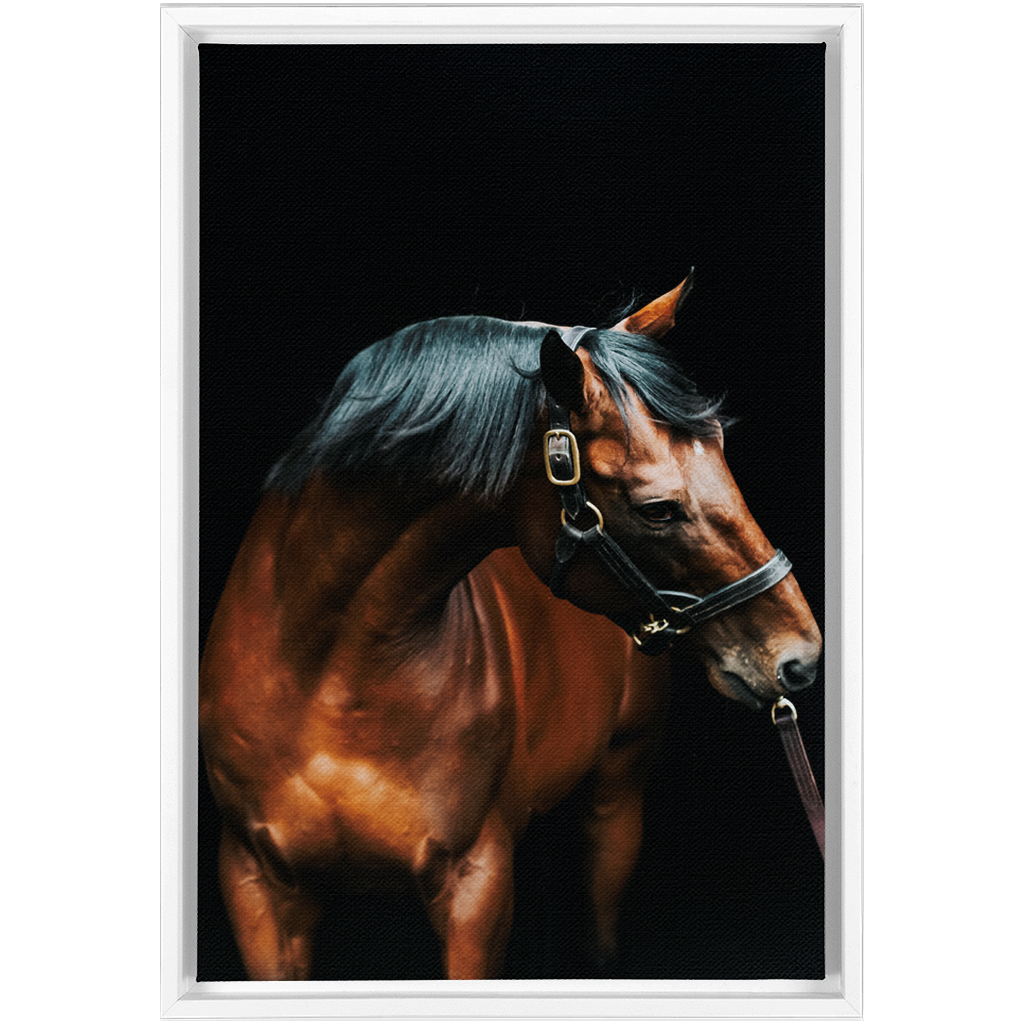 American Pharoah Series 3, Framed Canvas