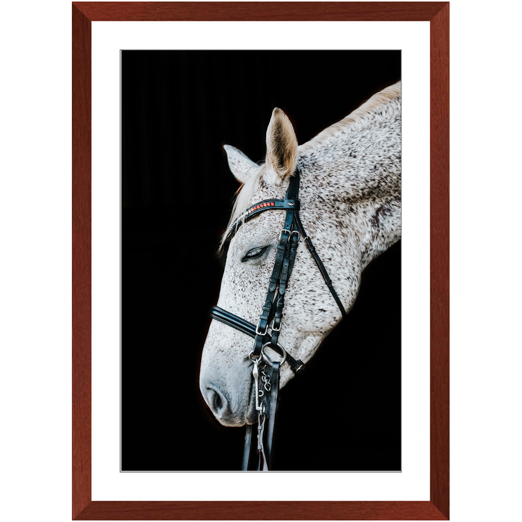 Apollo Series 2, Framed Print
