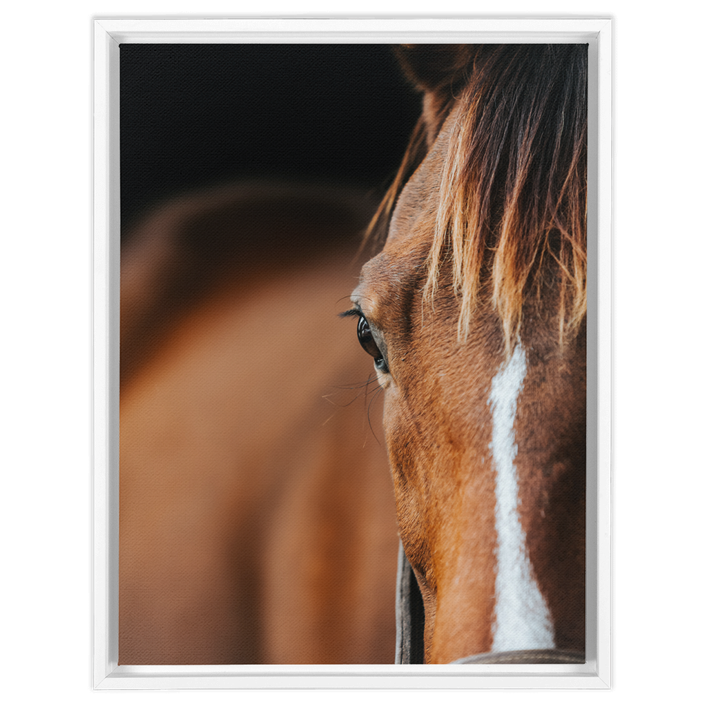 Majestic 1, Framed Canvas
