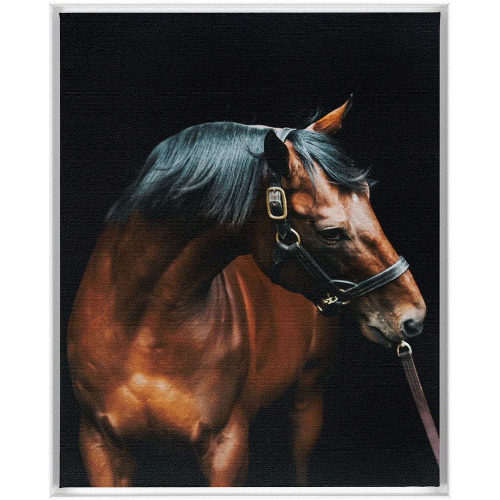 American Pharoah Series 3, Framed Canvas