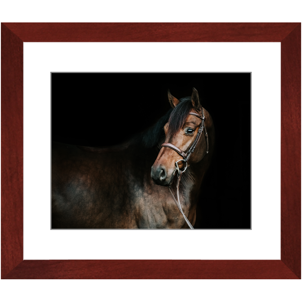 Jovial Series 2, Framed Print