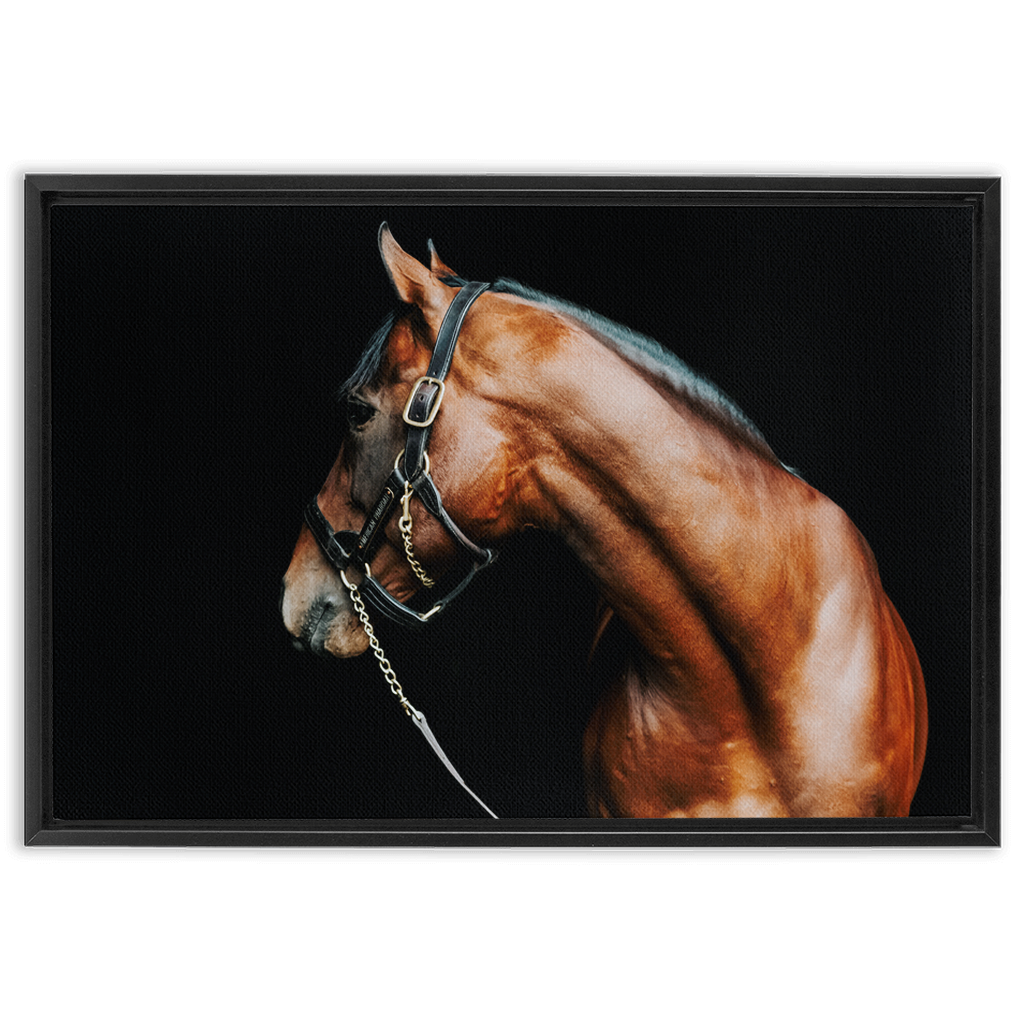 American Pharoah Series 5, Framed Canvas