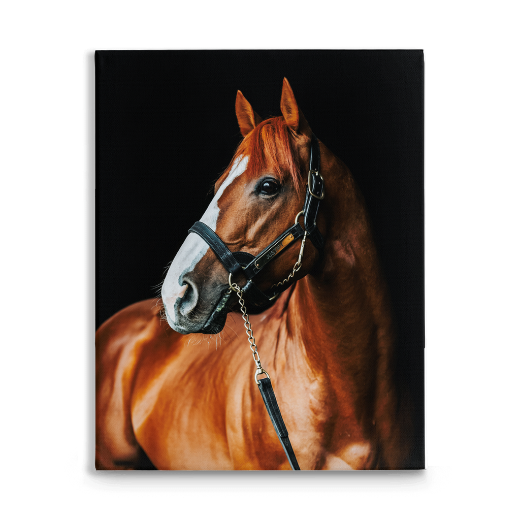 Justify Series 1, Stretched Canvas