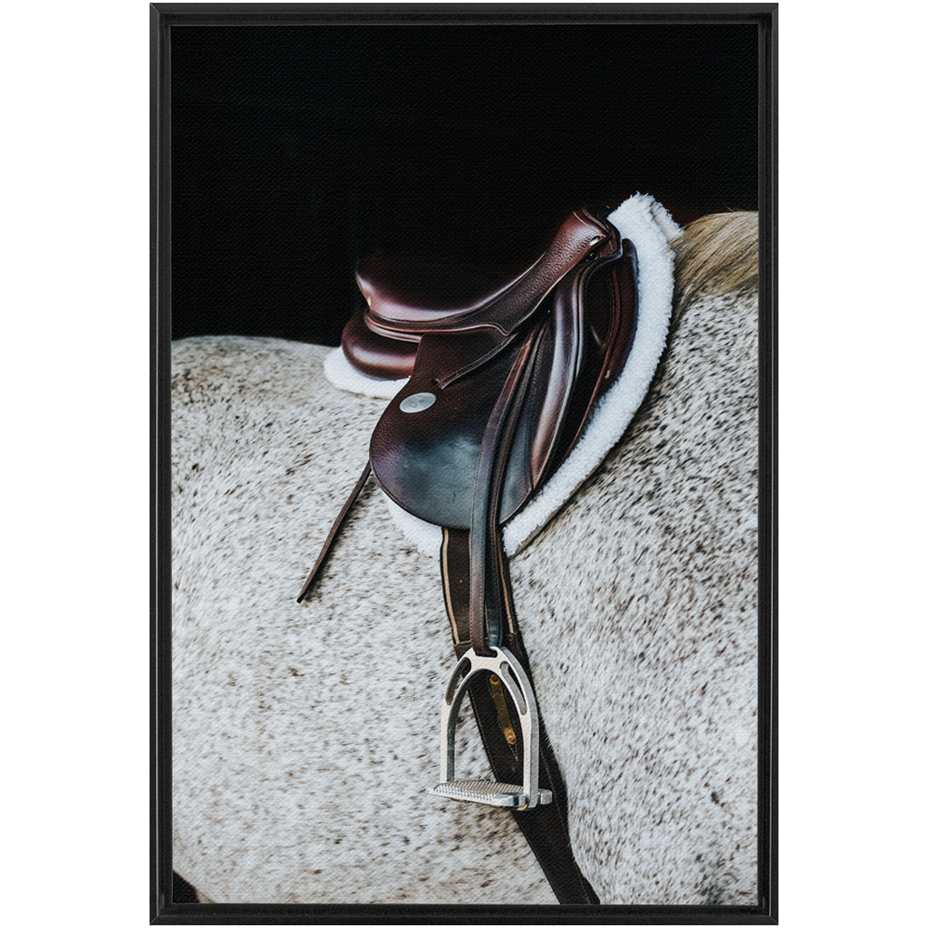 Apollo Series 3, Framed Canvas