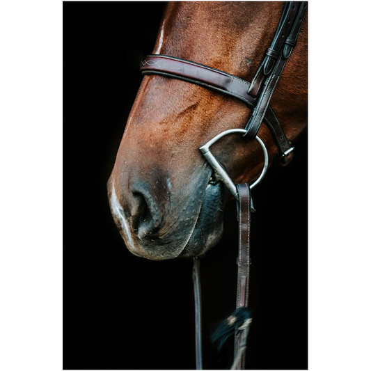Monterey Series 5, Print