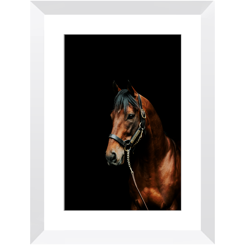 American Pharoah Series 2, Framed Prints