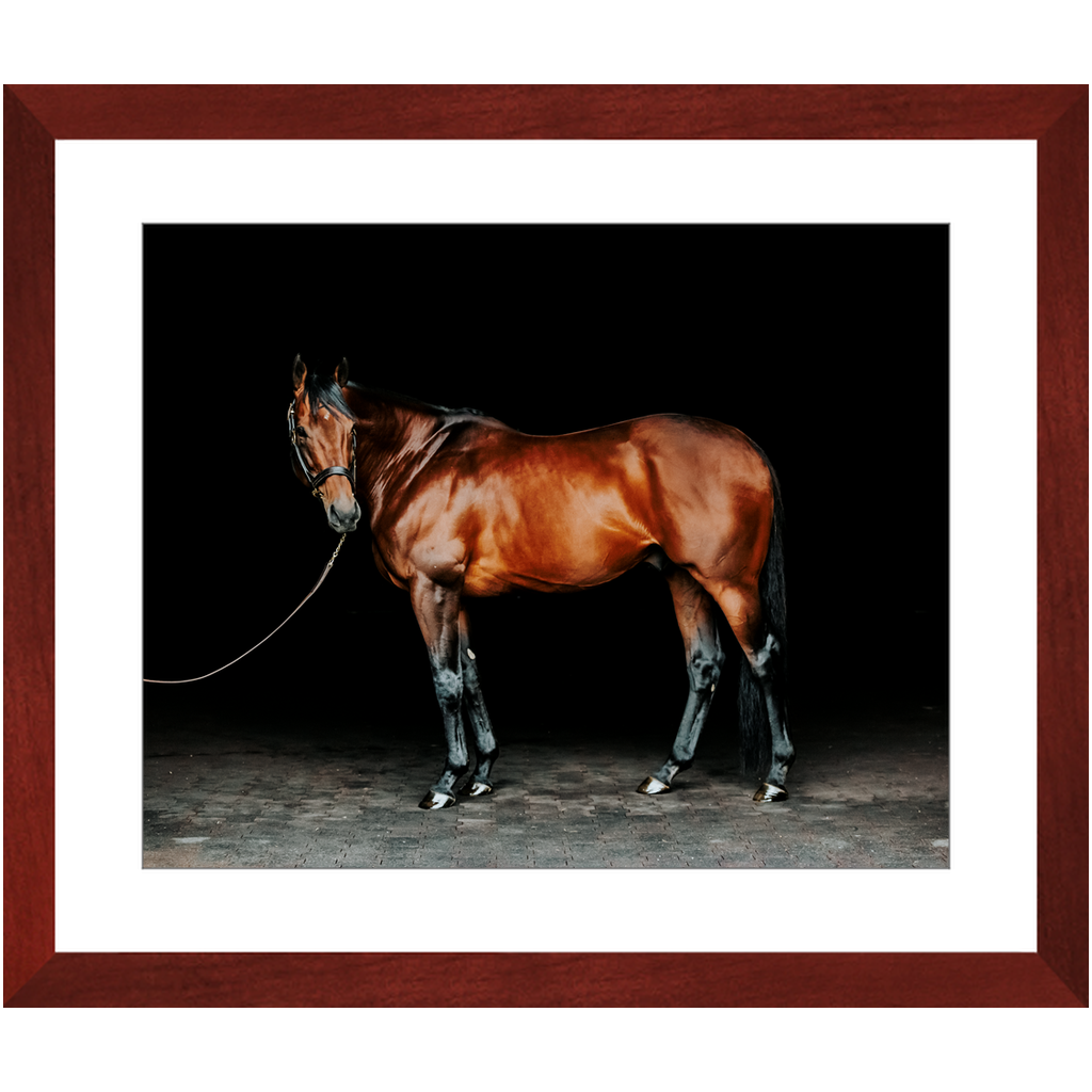 American Pharoah Series 1, Framed Print