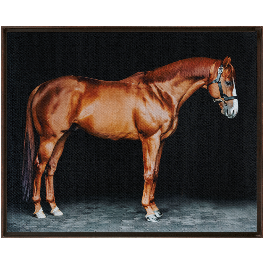 Justify Series 6, Framed Canvas