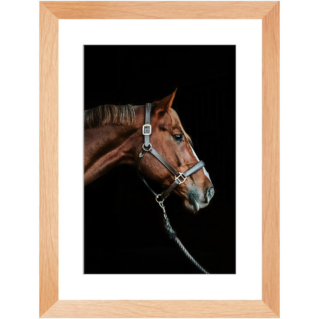 Django Series 3, Framed Print