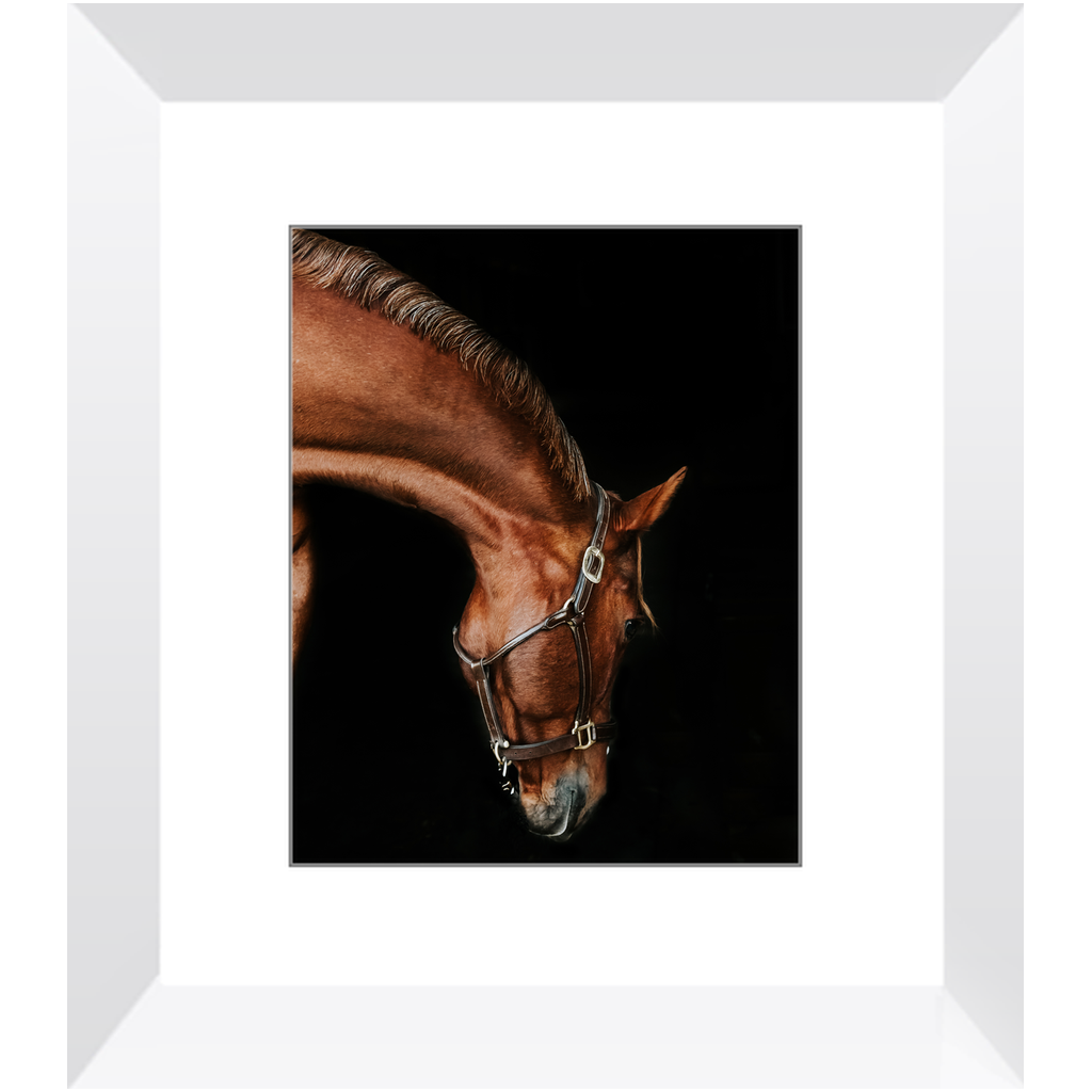 Django Series 6, Framed Print