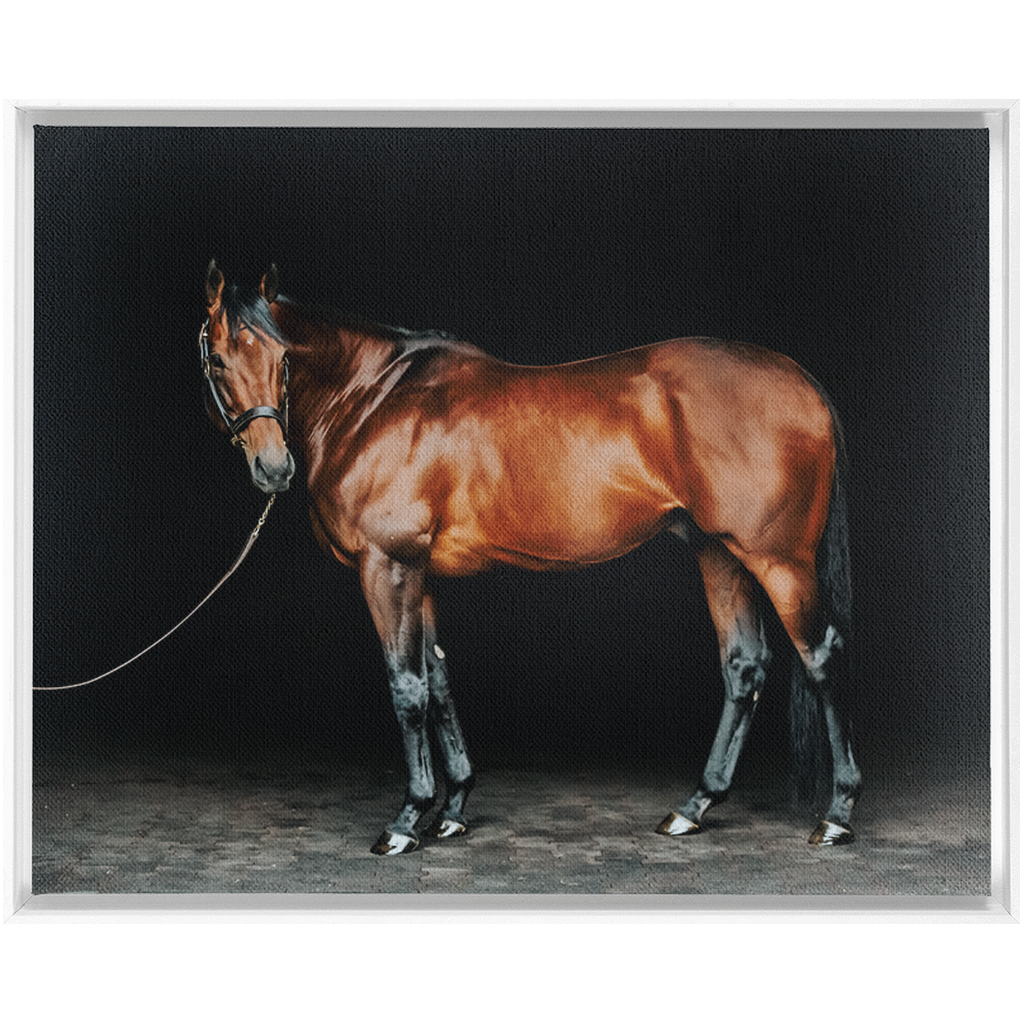 American Pharoah Series 1, Framed Canvas