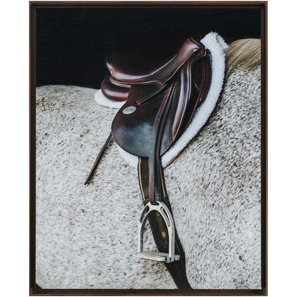Apollo Series 3, Framed Canvas