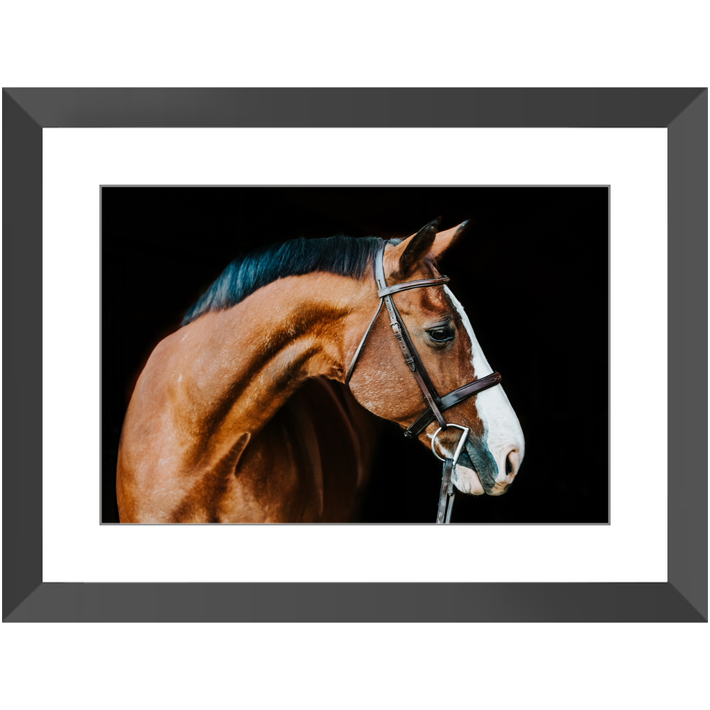 Huntsman Series 3, Framed Print