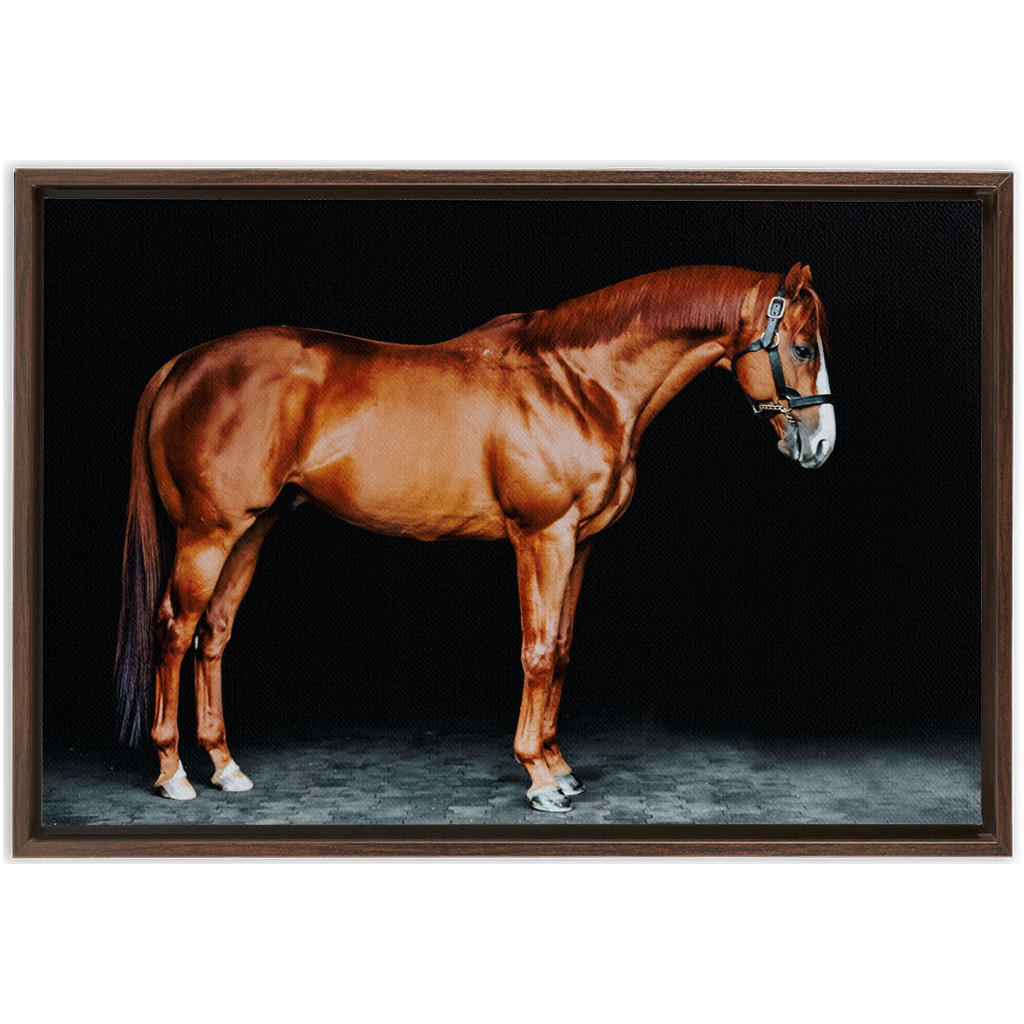 Justify Series 6, Framed Canvas
