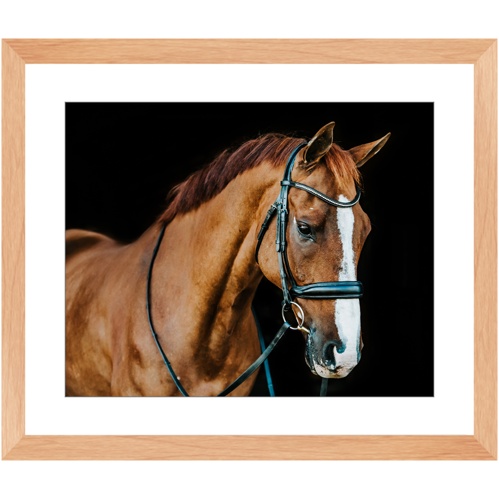 Hudson Series 1, Framed Print