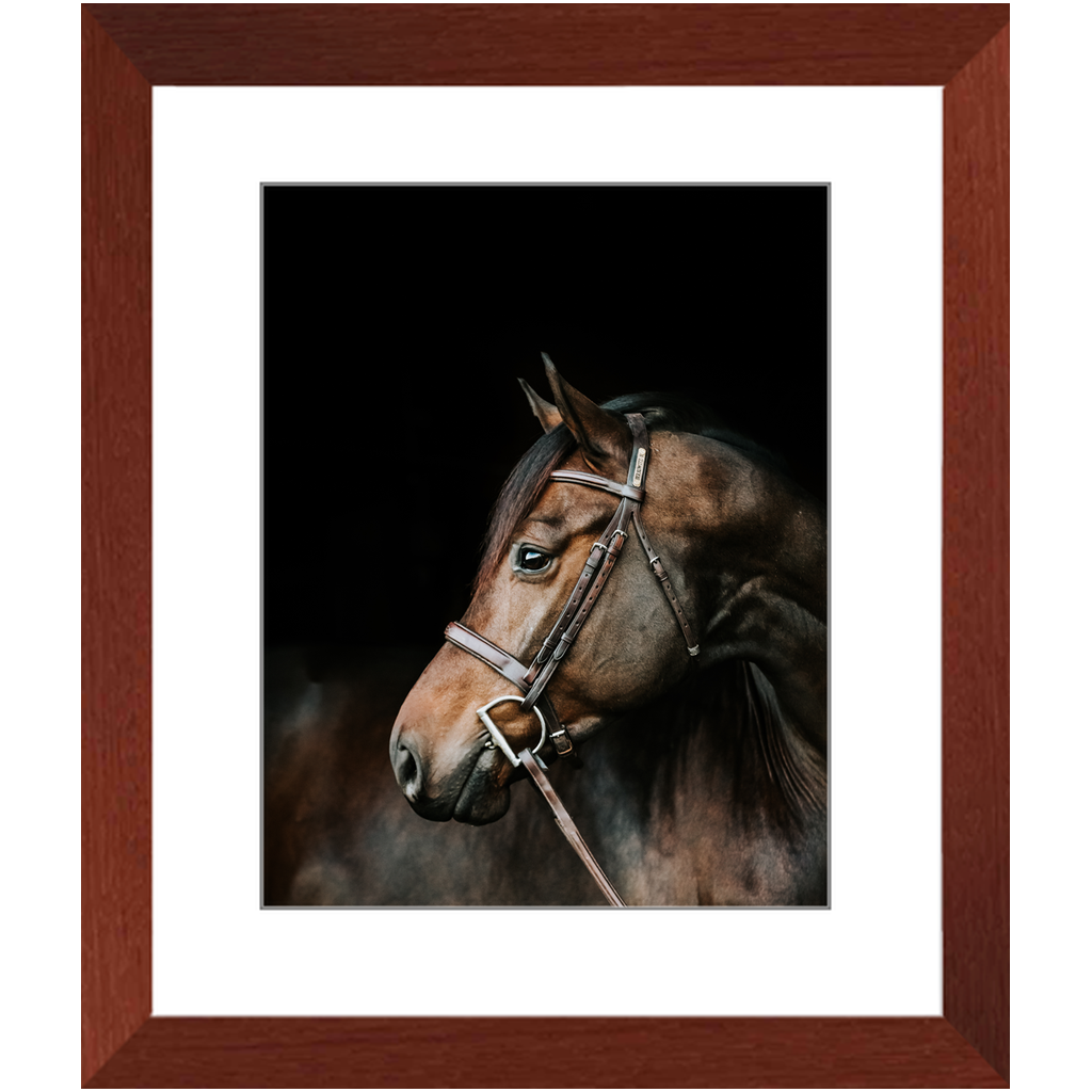 Jovial Series 3, Framed Print