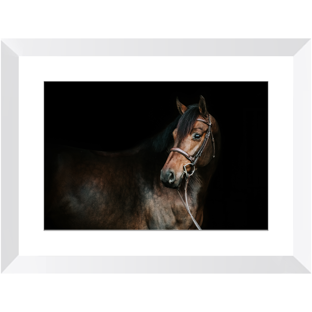 Jovial Series 2, Framed Print