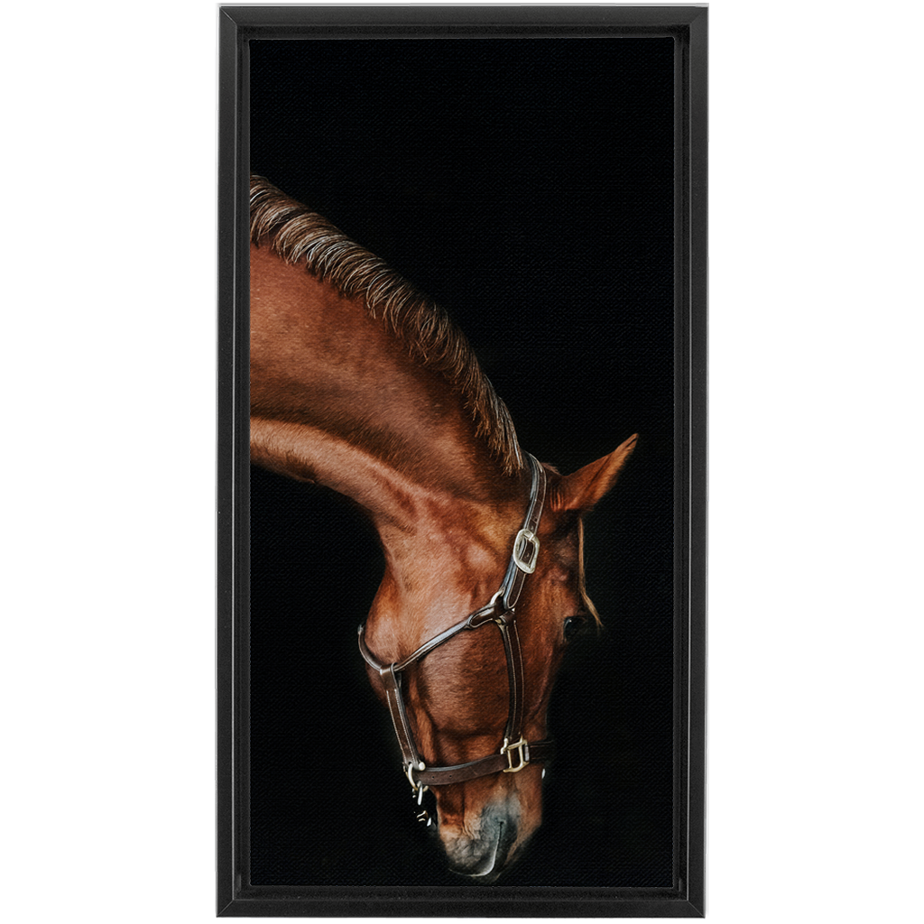 Django Series 6, Framed Canvas