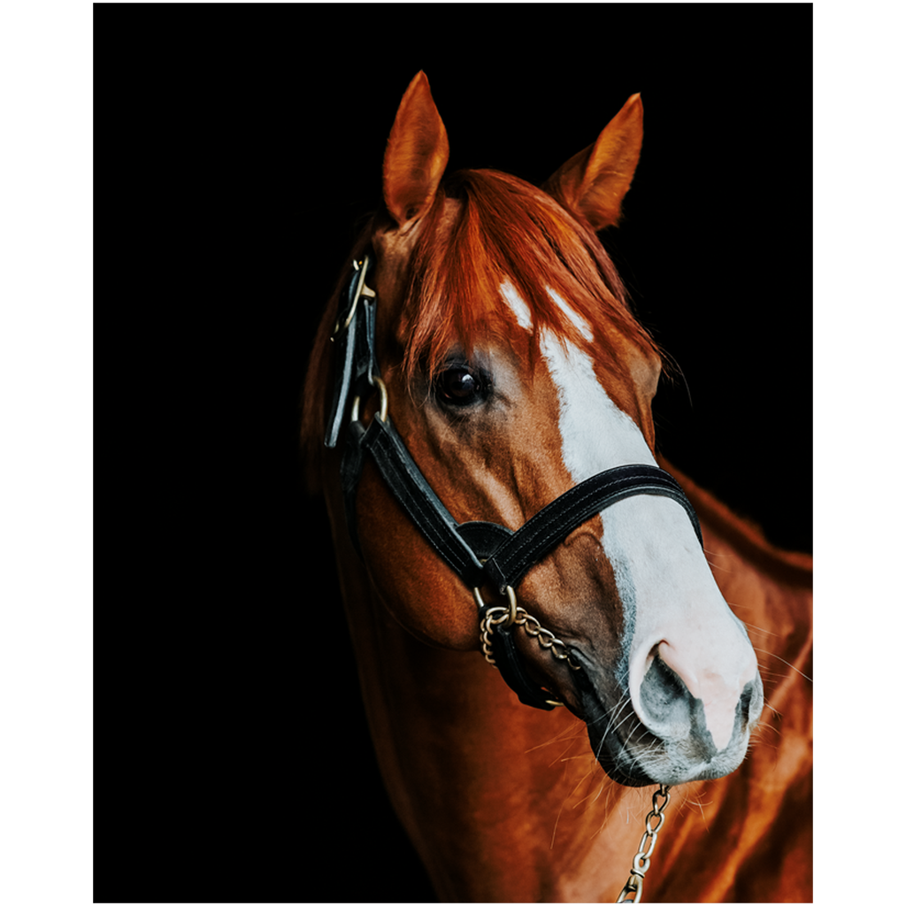 Justify Series 2, Print