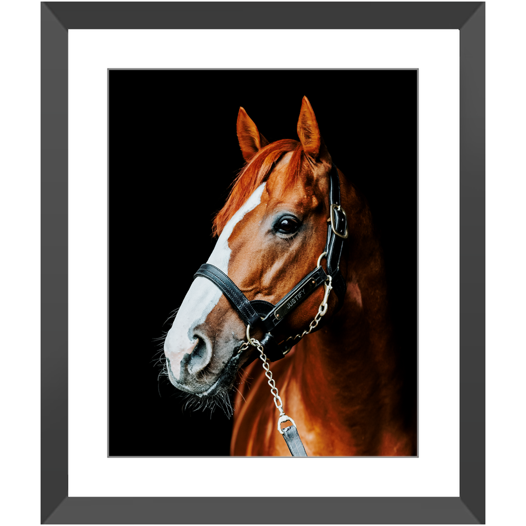 Justify Series 5, Framed Print