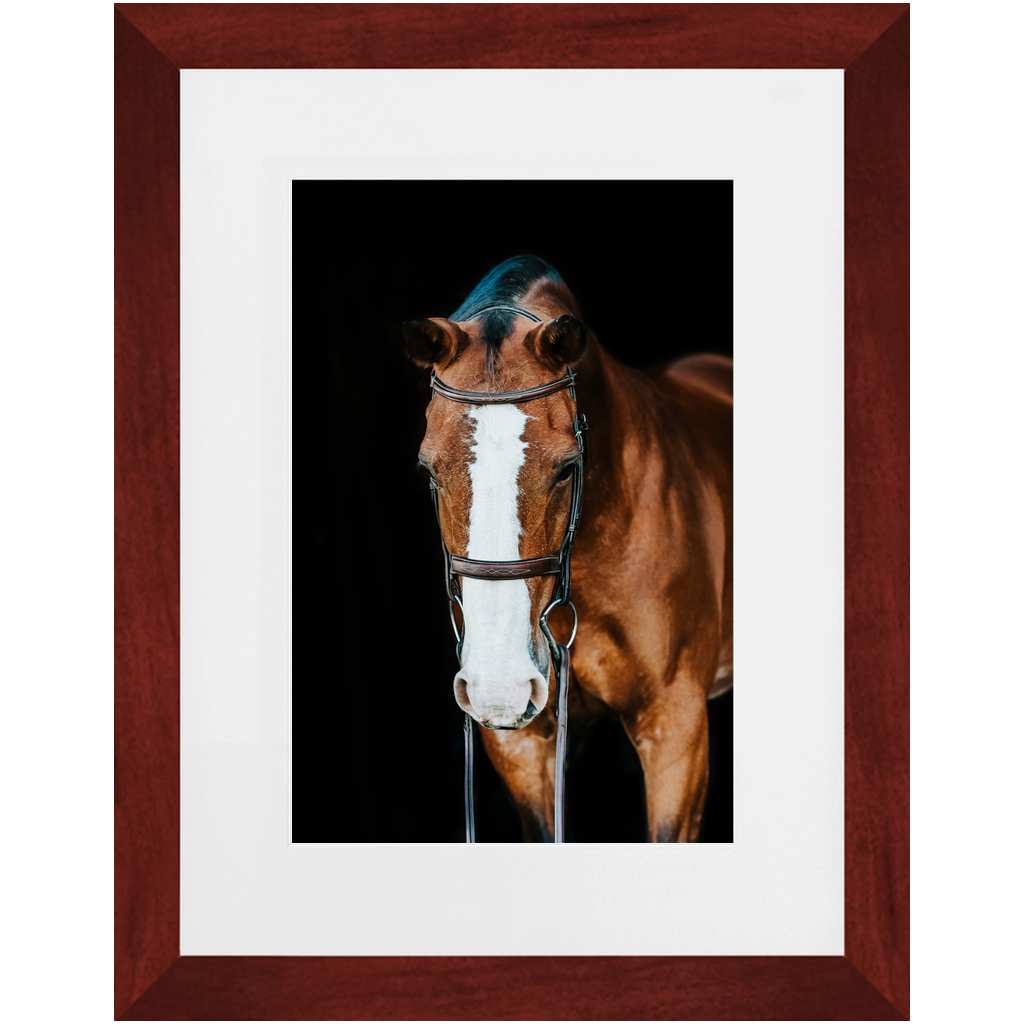 Huntsman Series 6, Framed Print