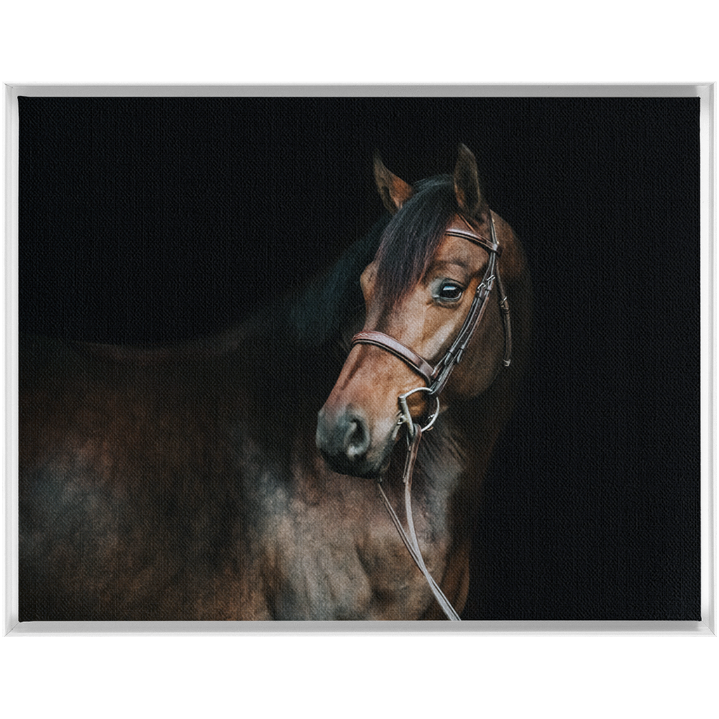 Jovial Series 2, Framed Canvas