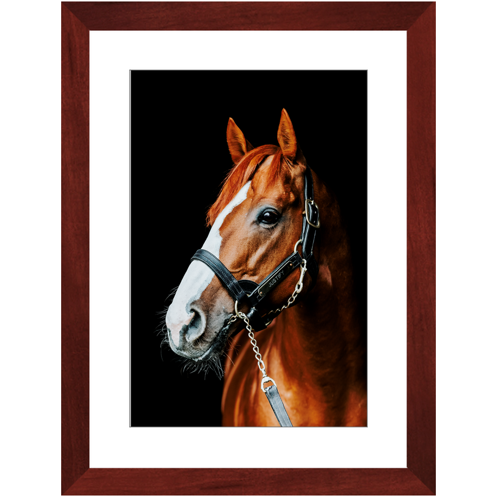 Justify Series 5, Framed Print