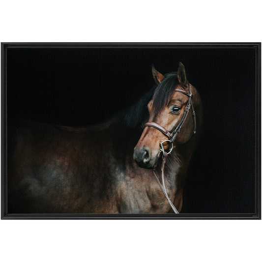 Jovial Series 2, Framed Canvas