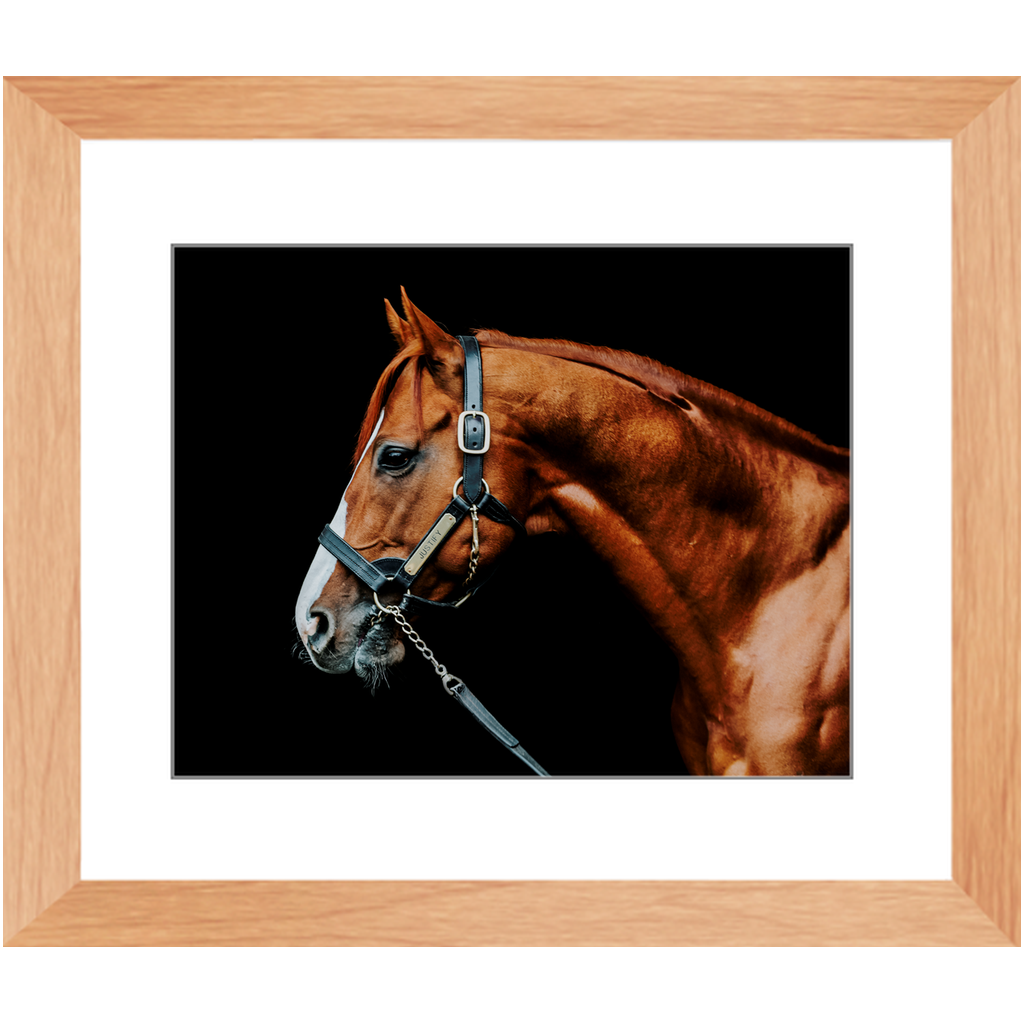 Justify Series 3, Framed Print
