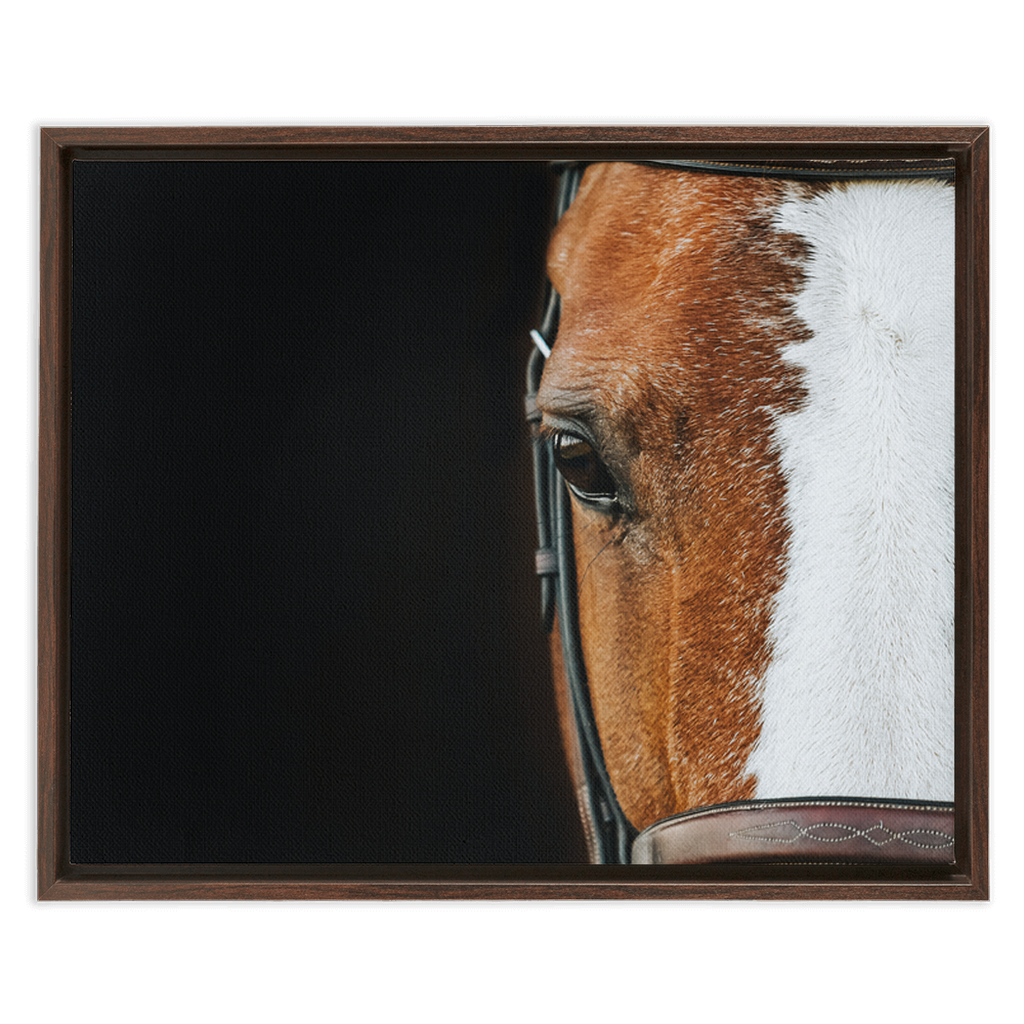 Huntsman Series 5, Framed Canvas