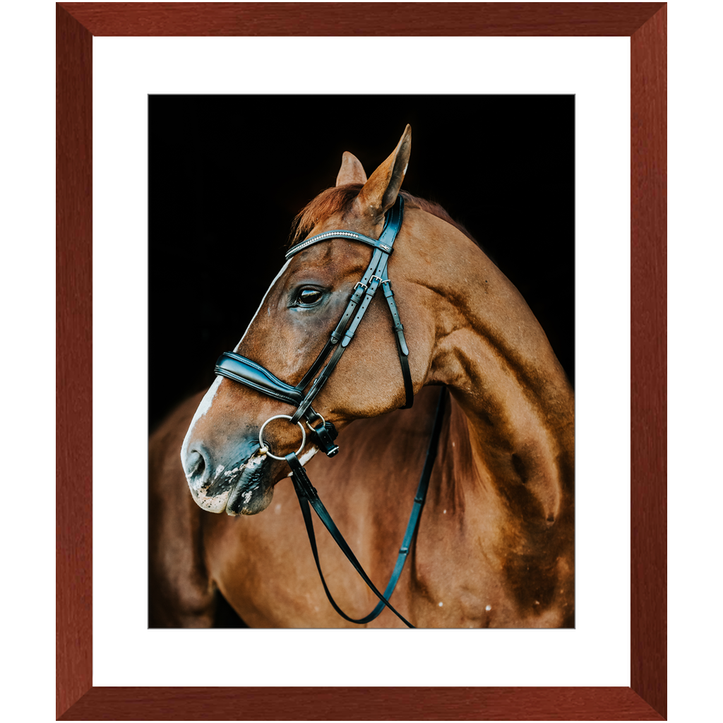 Hudson Series 6, Framed Print