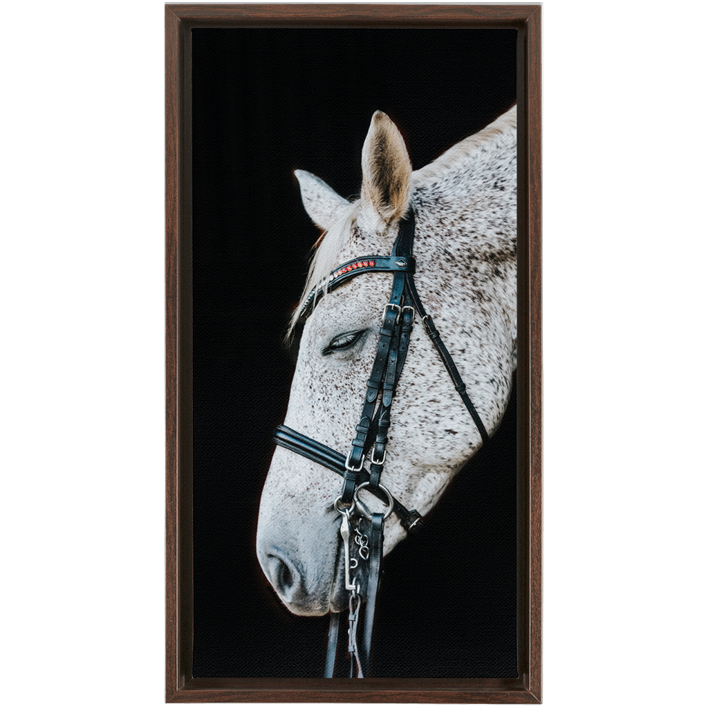 Apollo Series 1, Framed Canvas