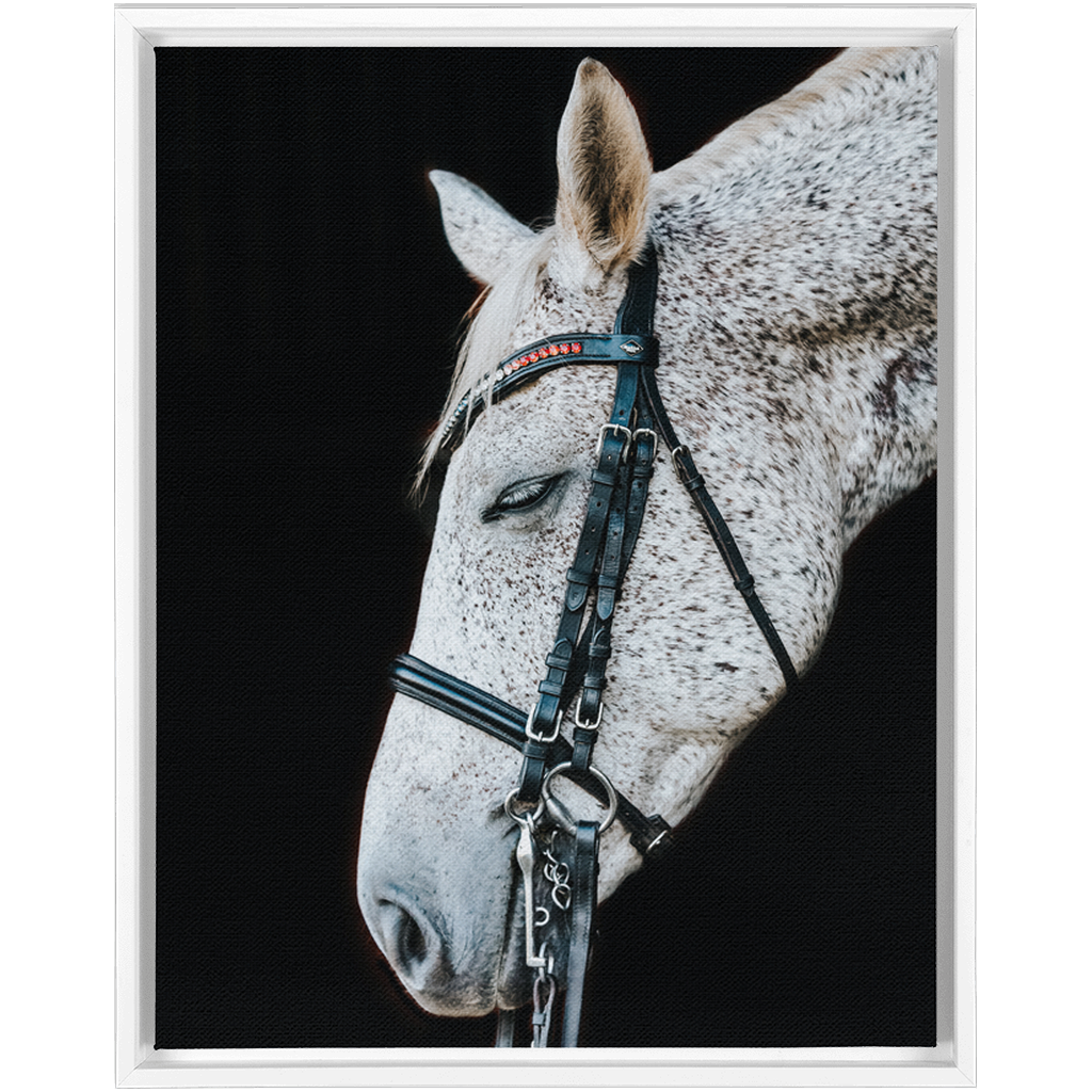 Apollo Series 1, Framed Canvas