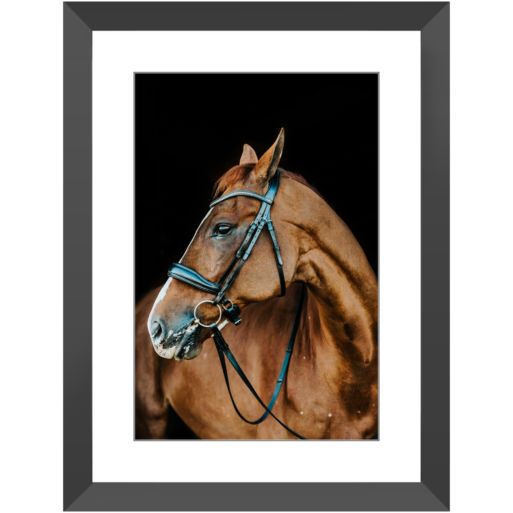 Hudson Series 6, Framed Print