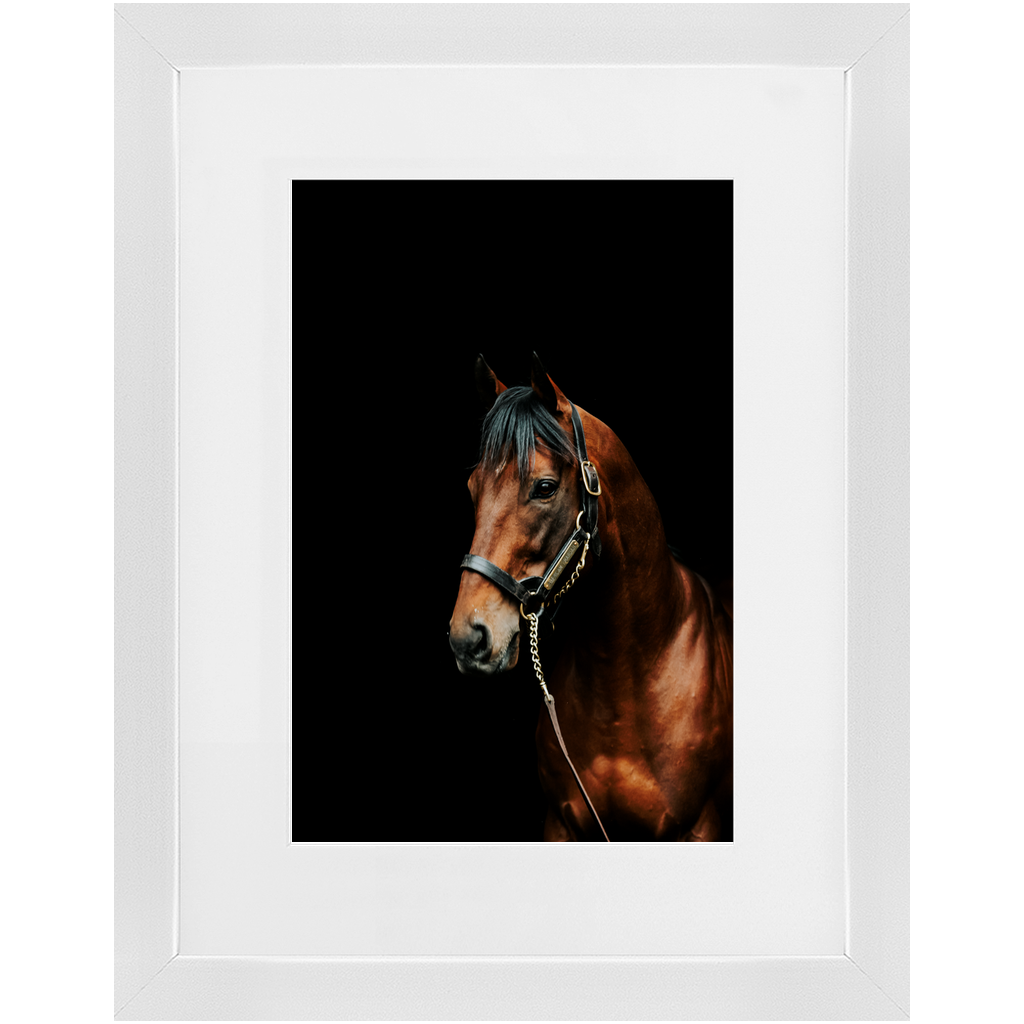 American Pharoah Series 2, Framed Prints