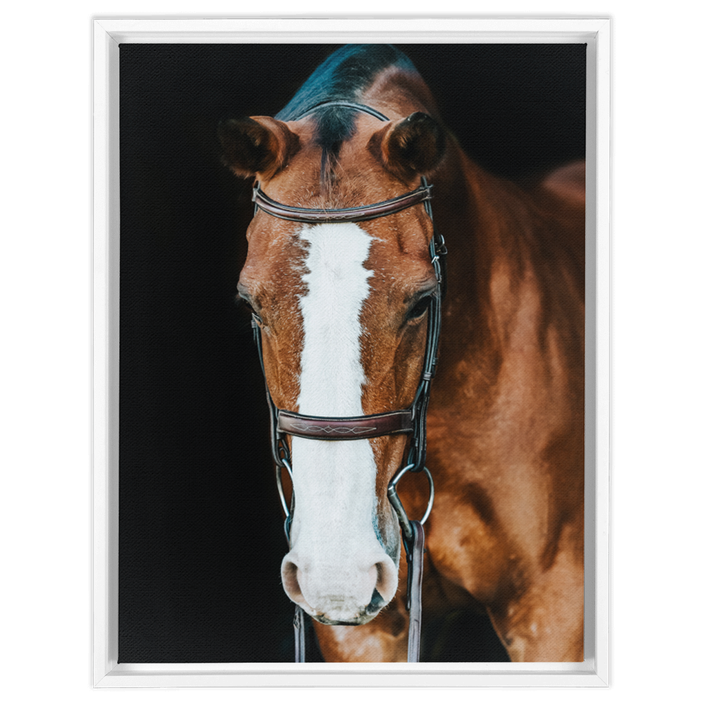 Huntsman Series 6, Framed Canvas