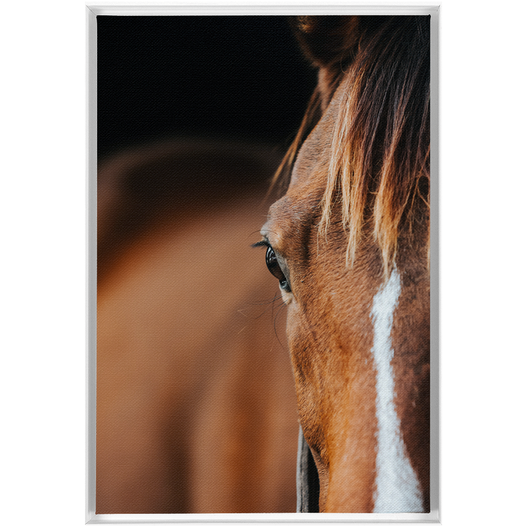 Majestic 1, Framed Canvas