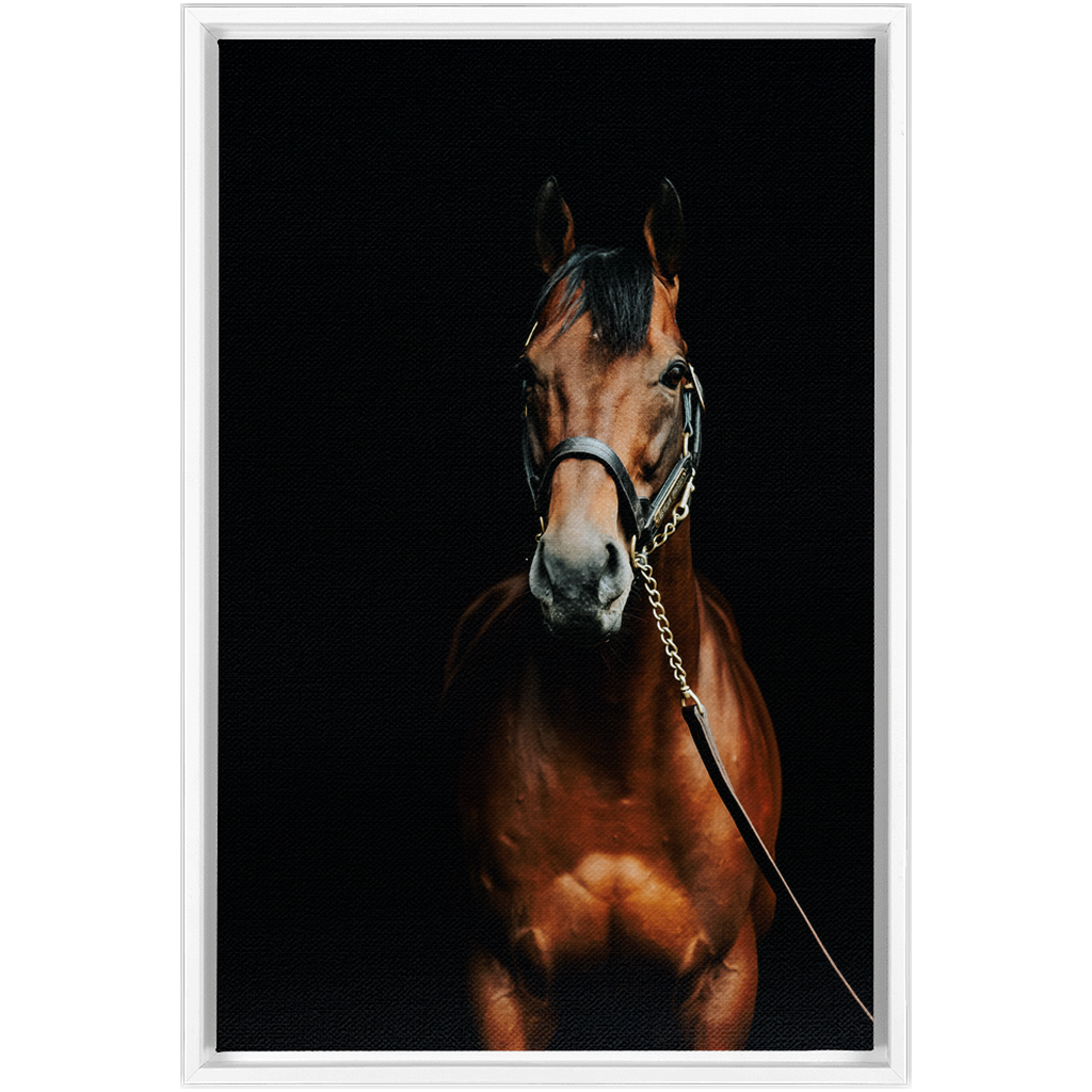 American Pharoah Series 4, Framed Canvas