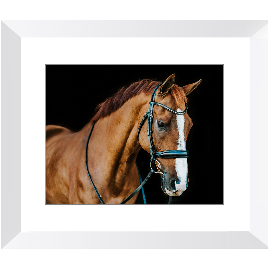 Hudson Series 1, Framed Print