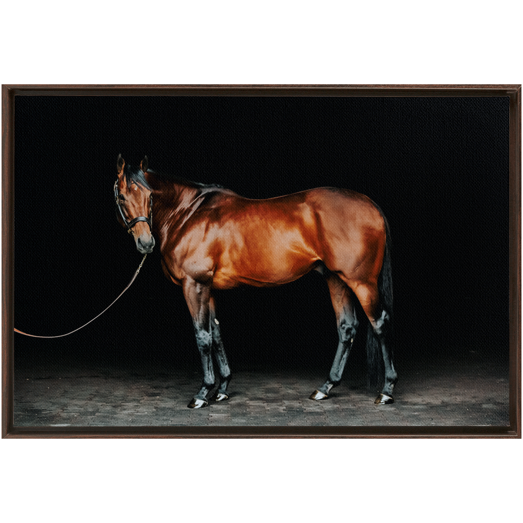 American Pharoah Series 1, Framed Canvas