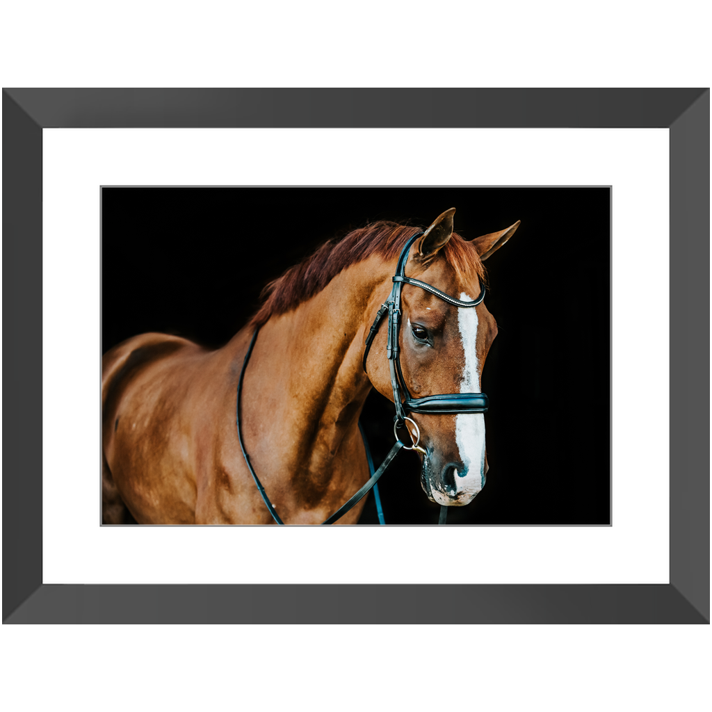 Hudson Series 1, Framed Print