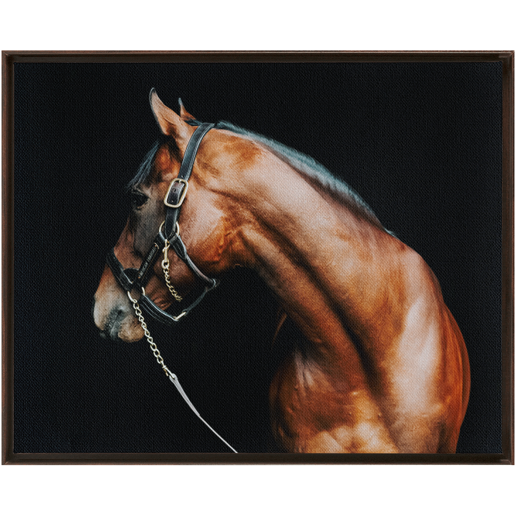 American Pharoah Series 5, Framed Canvas