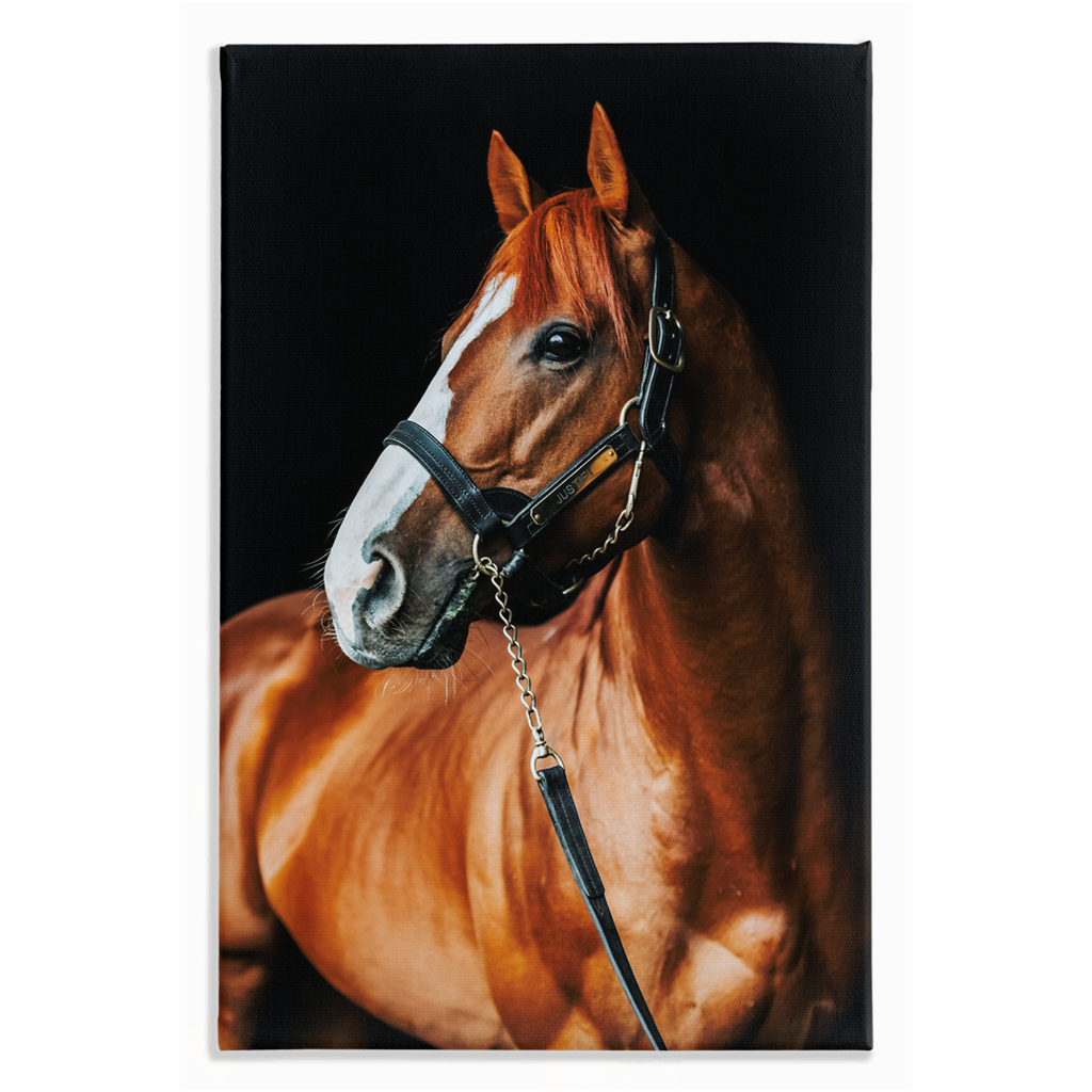 Justify Series 1, Stretched Canvas