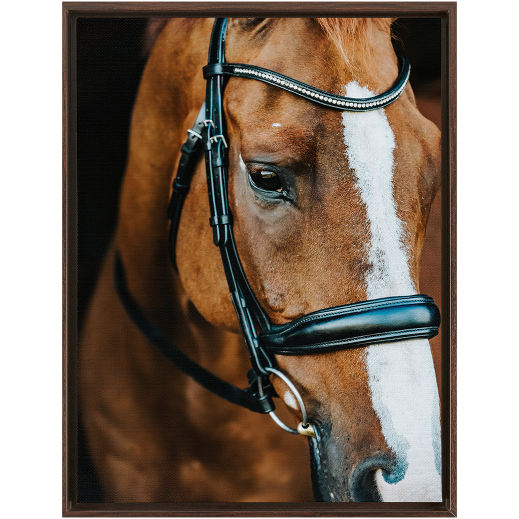 Hudson Series 3, Framed Canvas