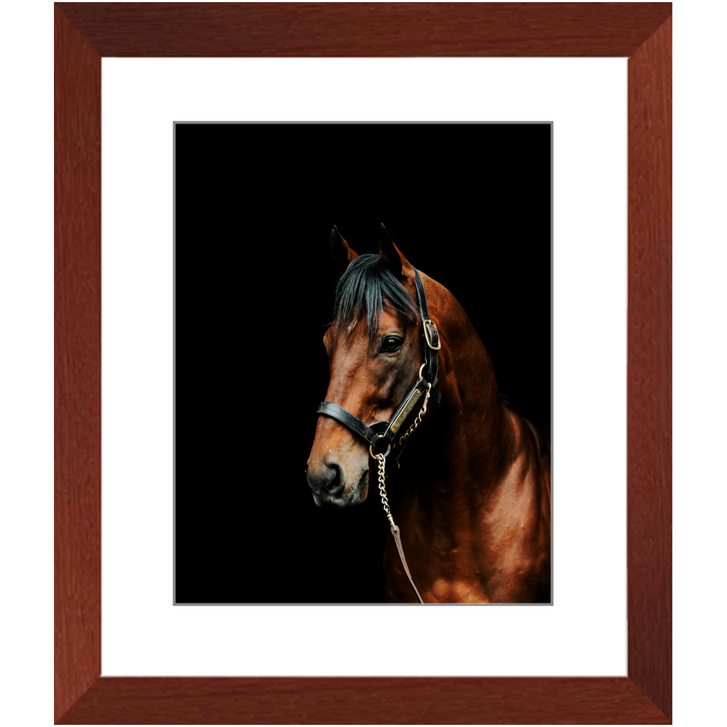 American Pharoah Series 2, Framed Prints