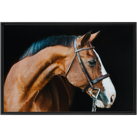 Huntsman Series 3, Framed Canvas