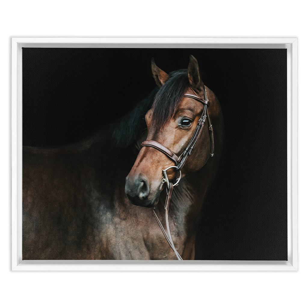 Jovial Series 2, Framed Canvas