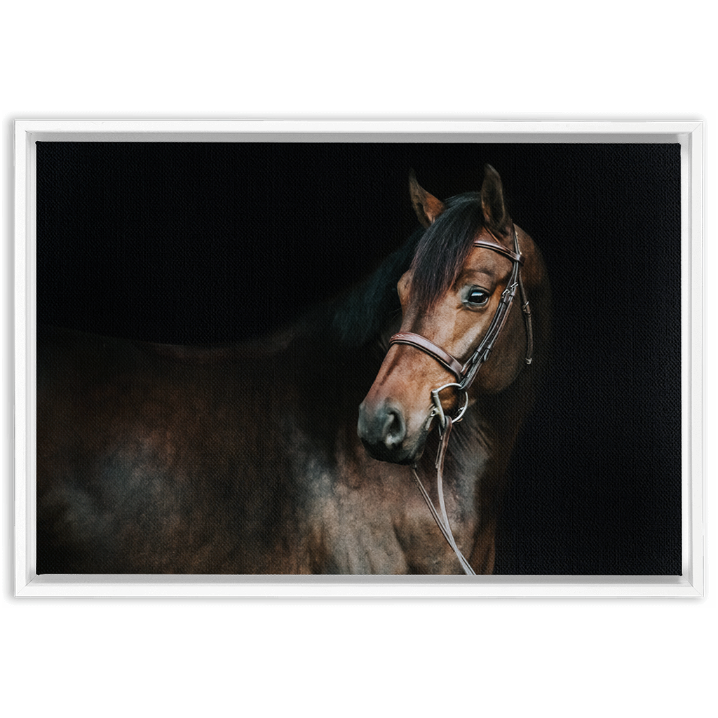 Jovial Series 2, Framed Canvas