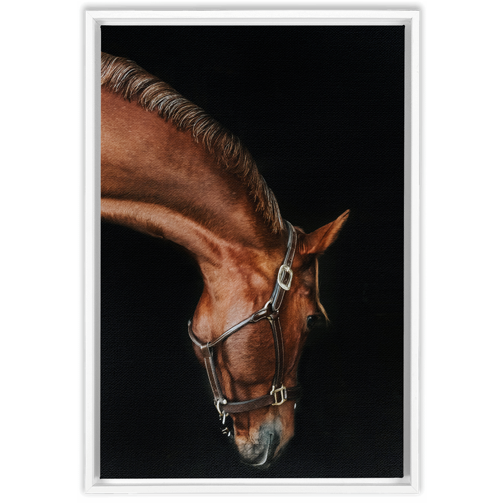 Django Series 6, Framed Canvas
