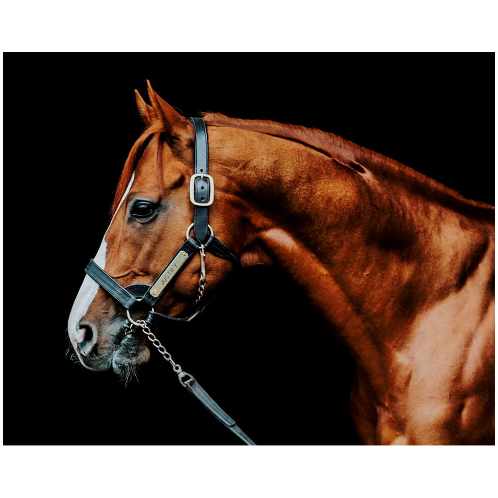 Justify Series 3, Print